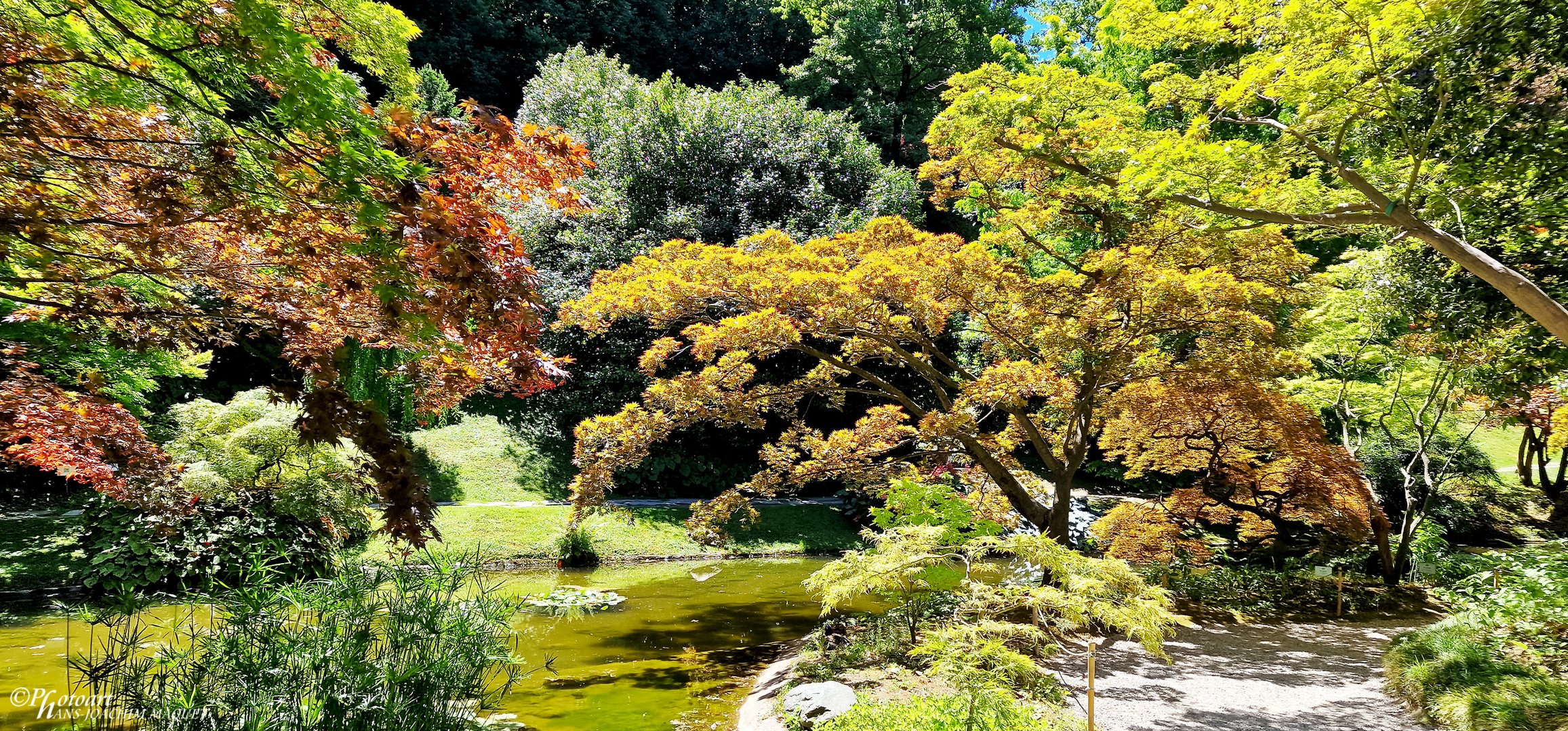 Villa Melzi - Teich im japanischen Stil