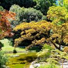 Villa Melzi - Teich im japanischen Stil