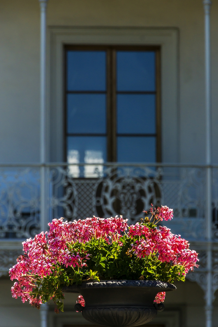 Villa Merian-Detail