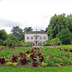 Villa Merian, Park im Grünen