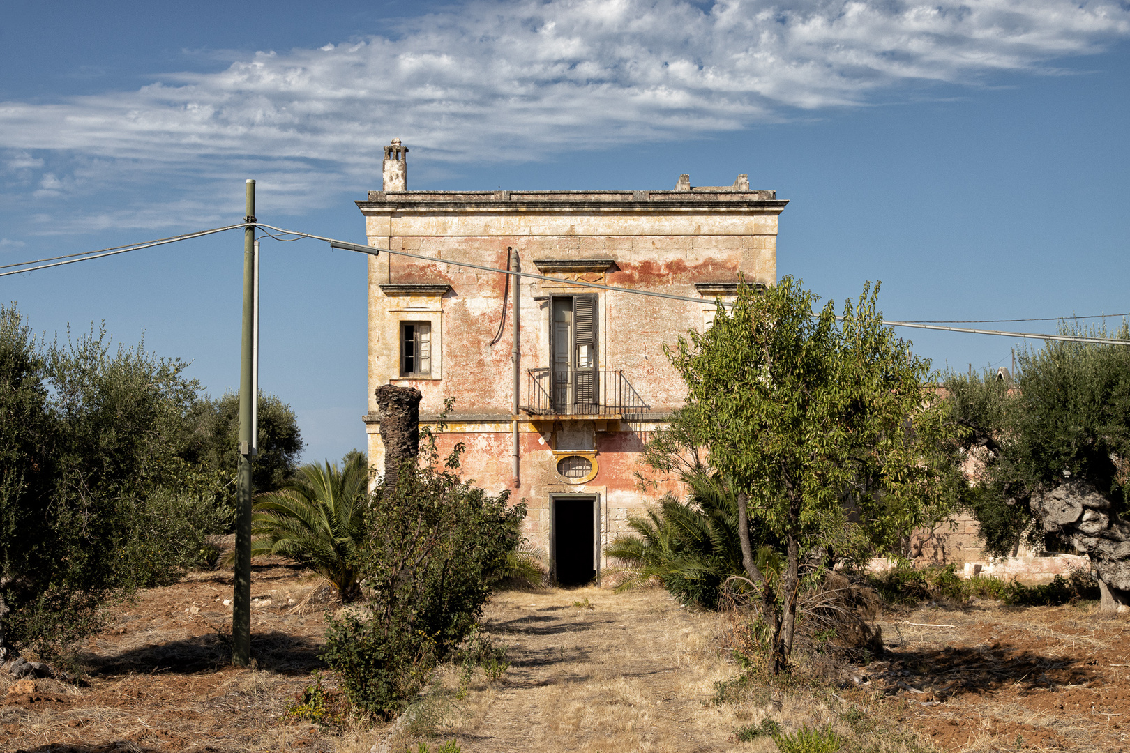 Villa mit Palme...