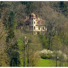 Villa mit Turm im Wald