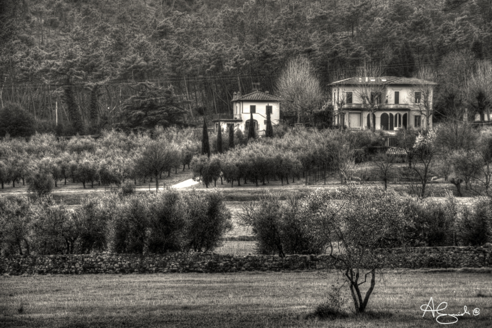 Villa nel parco di Monteferrato
