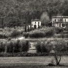 Villa nel parco di Monteferrato