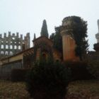 Villa Nichesola Fano...scorcio  del parco giardino..2..nella nebbia
