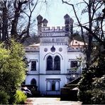 Villa Orlando am Loschwitzer Hang in Dresden