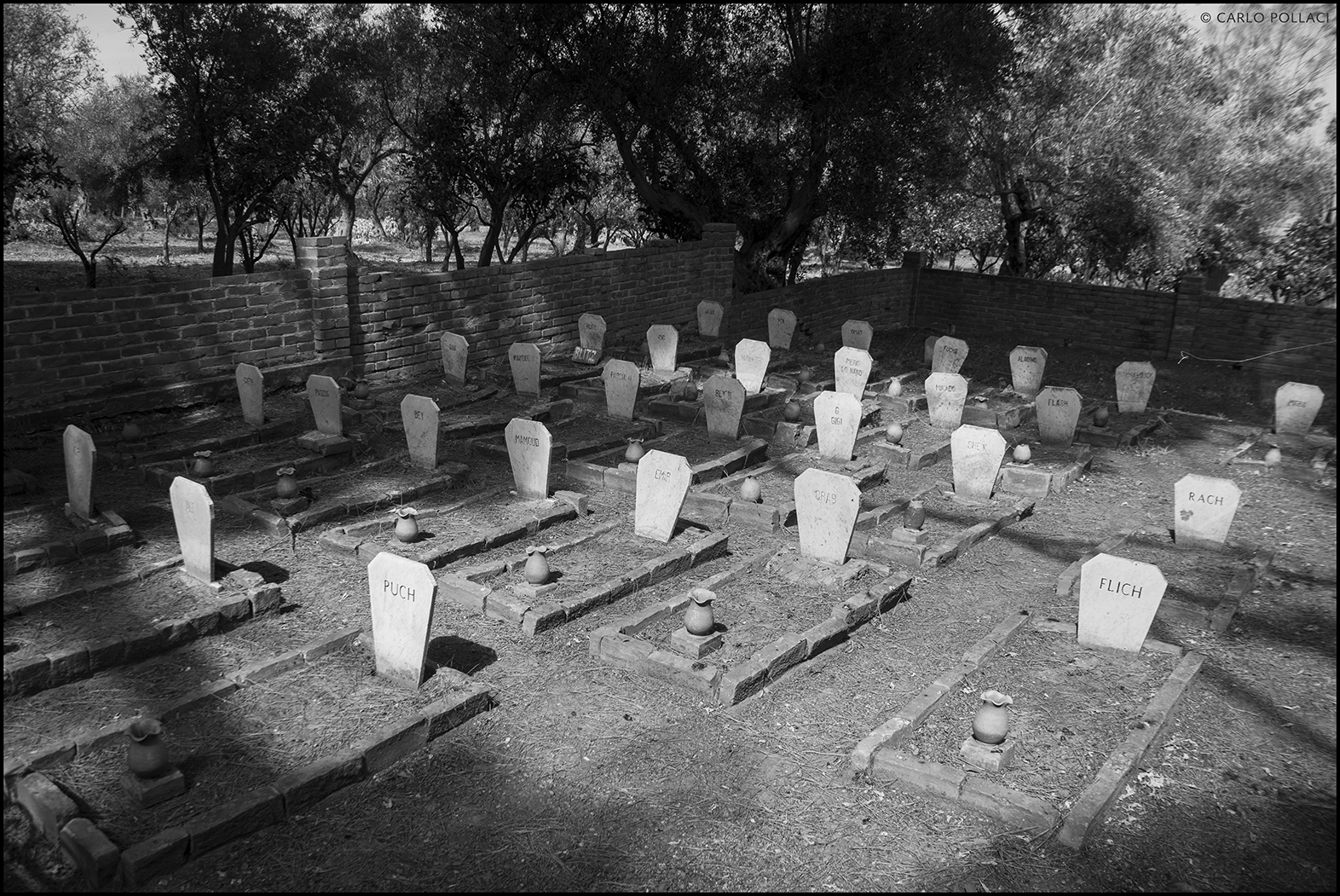 Villa Piccolo, the dog's cemetery