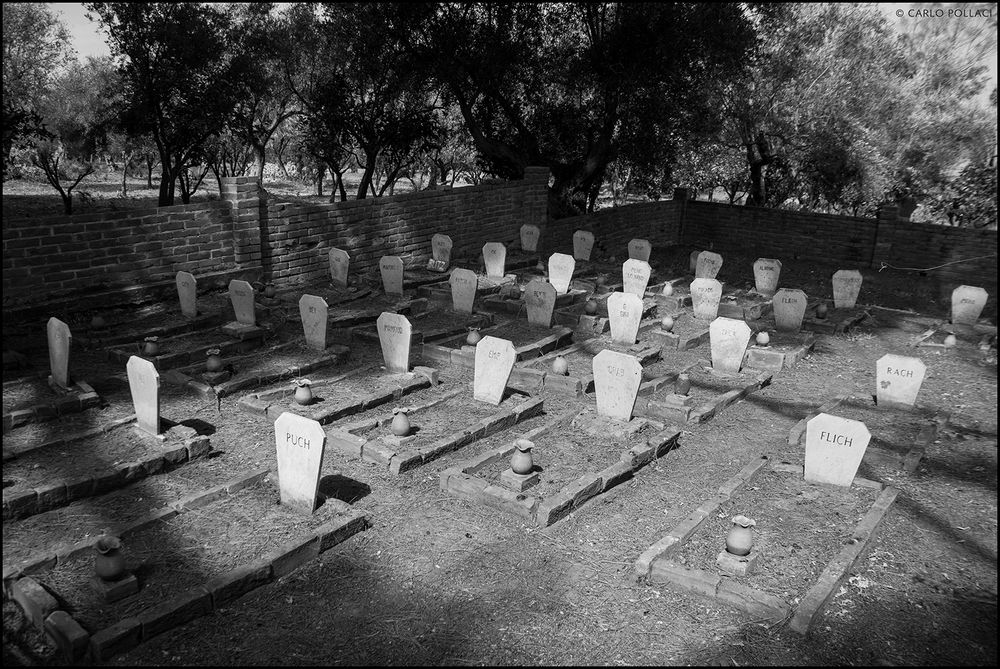 Villa Piccolo, the dog's cemetery