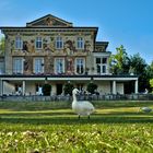 Villa Prym Konstanz