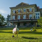 Villa Prym mit Besuch