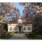 Villa Rauch im Frühling