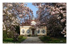 Villa Rauch im Frühling