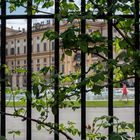 Villa Reale di Monza, vista dal roseto