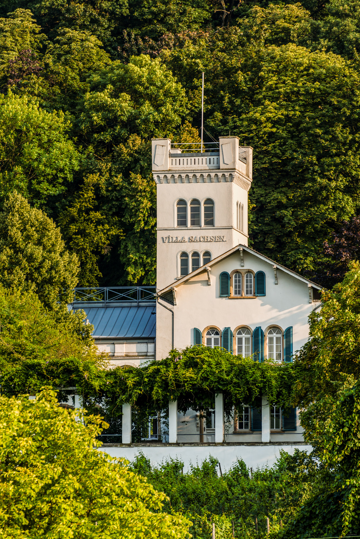 Villa Sachsen in Bingen
