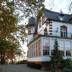 Villa Sophienhöhe -2-