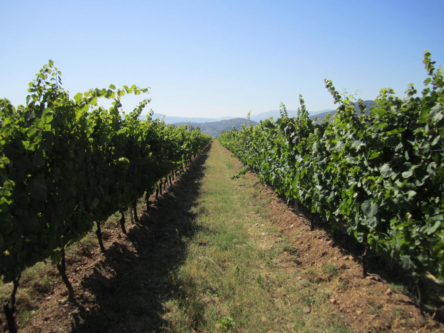 Villafranca del Bierzo Auguste 2011