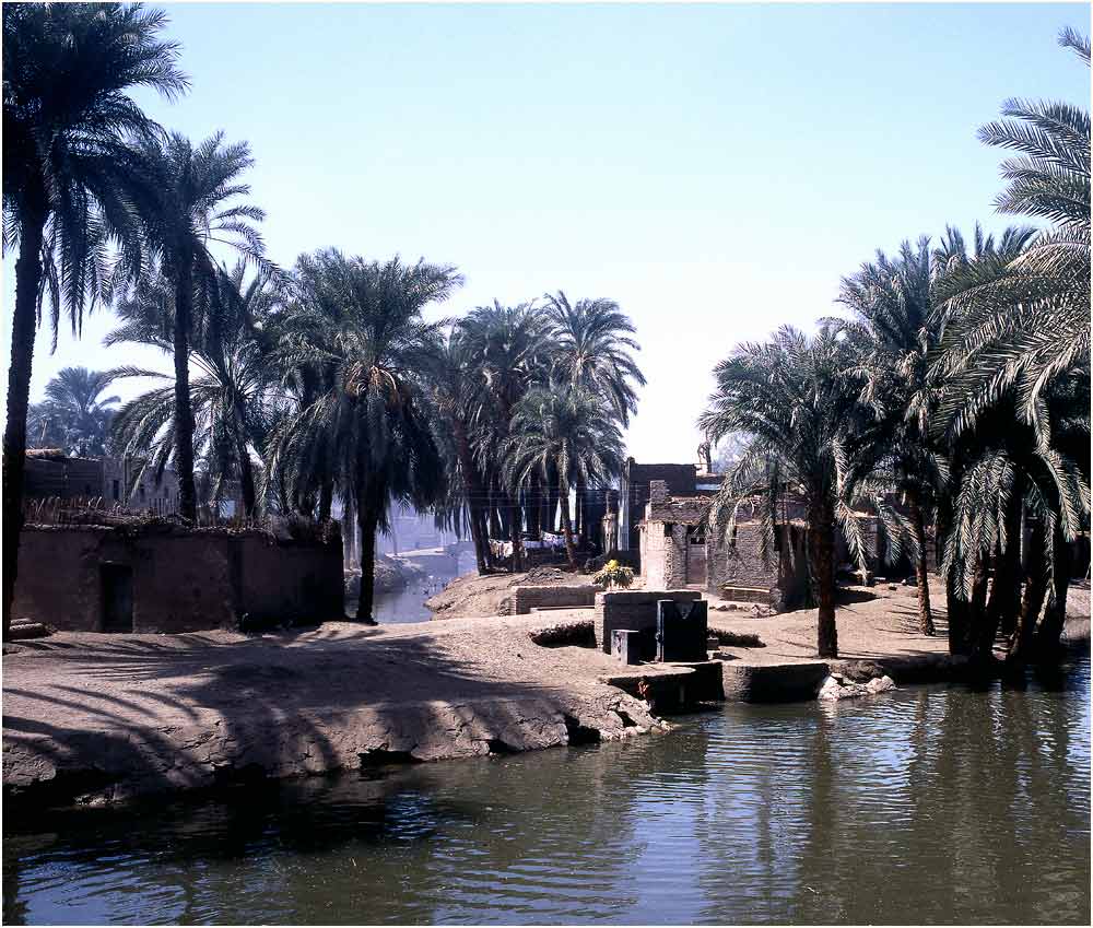 Village at Nile