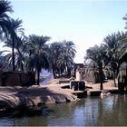 Village at Nile