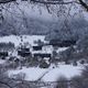 village au milieu des arbres