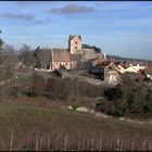  VILLAGE DE TOUCHES AU MILIEU DU VIGNOBLE