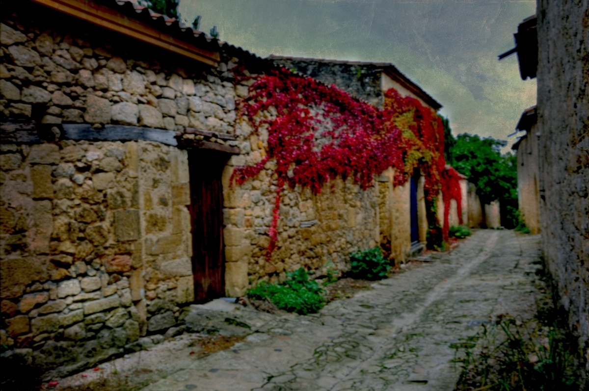 Village en automne