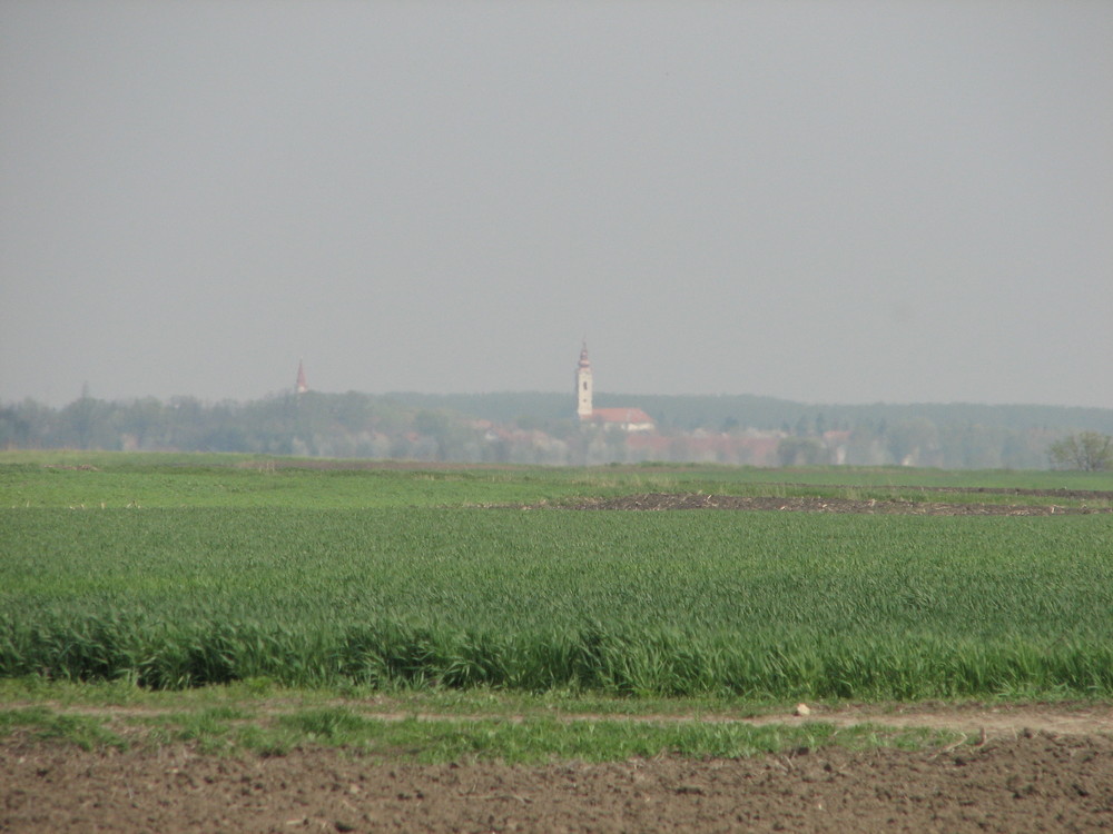 Village landscape