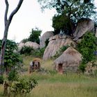 village @ malawi