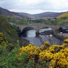 Village of Hemlsdale, Scotland