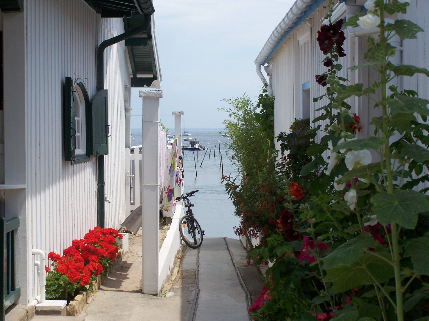 Village ostréicole sur la Presqu'ile du Cap-Ferret (Gironde)