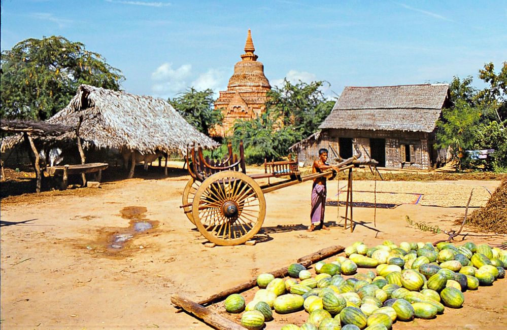 Village parmi les temples de Bagan