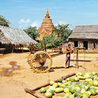 Village parmi les temples de Bagan