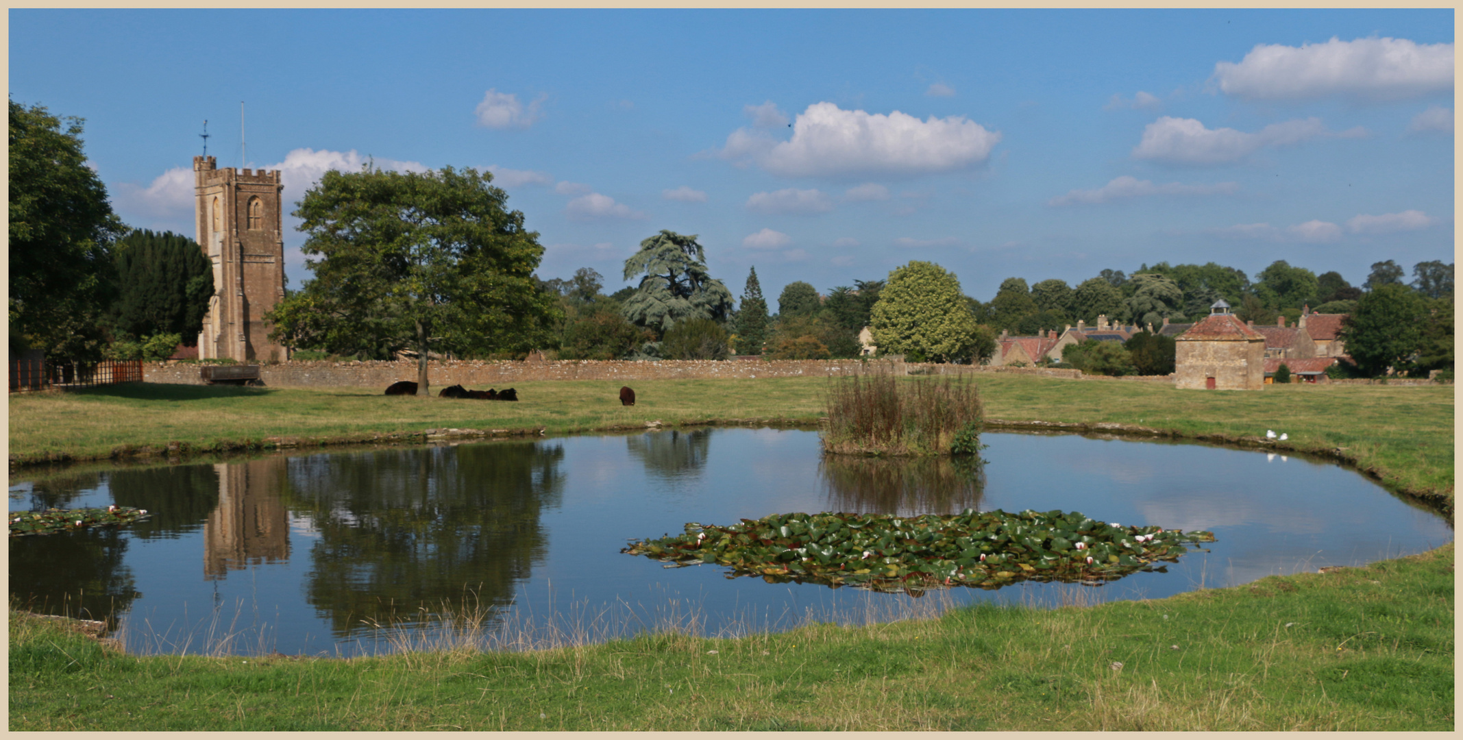 village pond Montacute 2