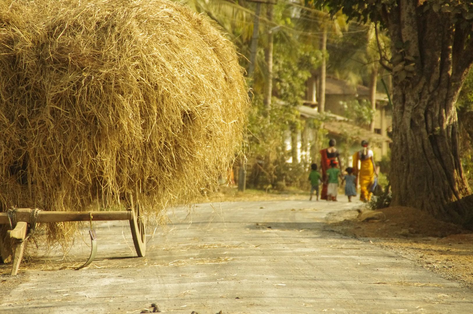 villaggio ughinkeri - India