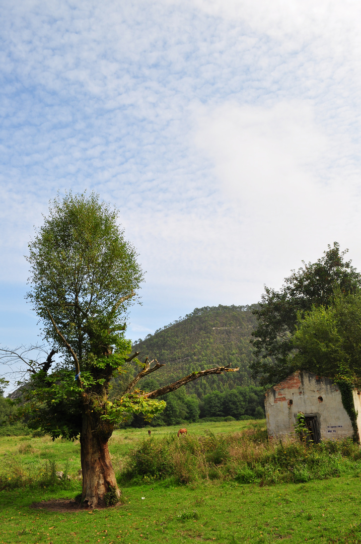 Villahormes (Asturias)