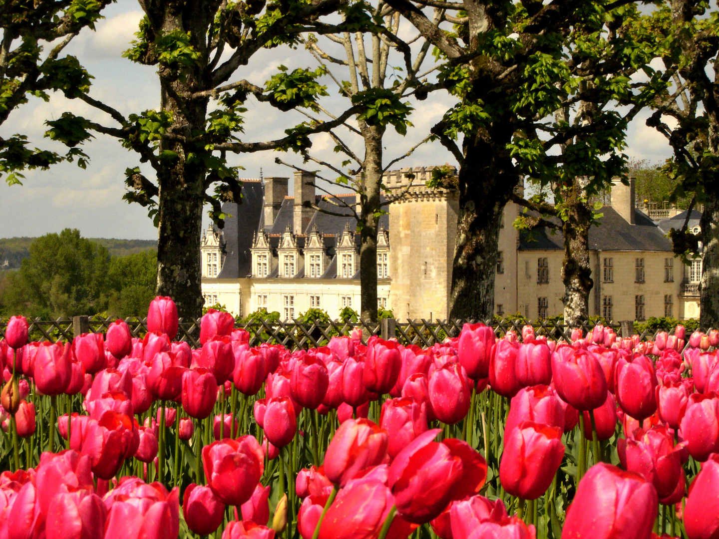 Villandry