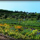 VILLANDRY 