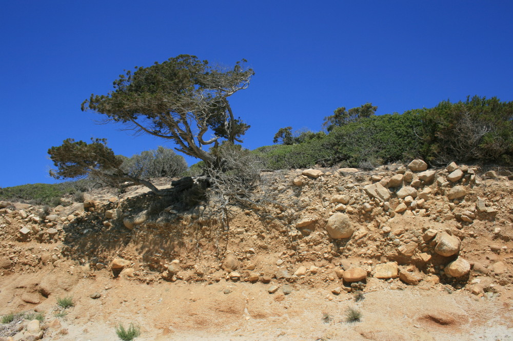 Villasimius (Sardegna)