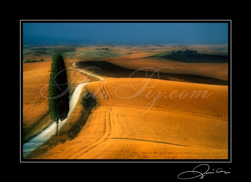 Ville di Corsano - Tuscany 2001