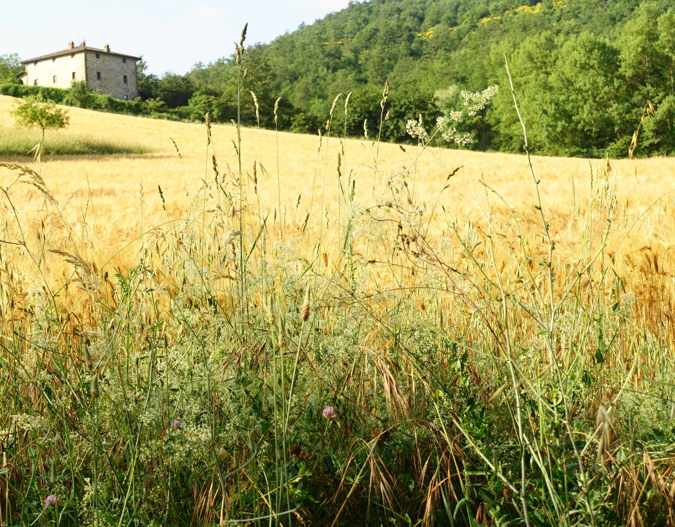 Ville in Umbria