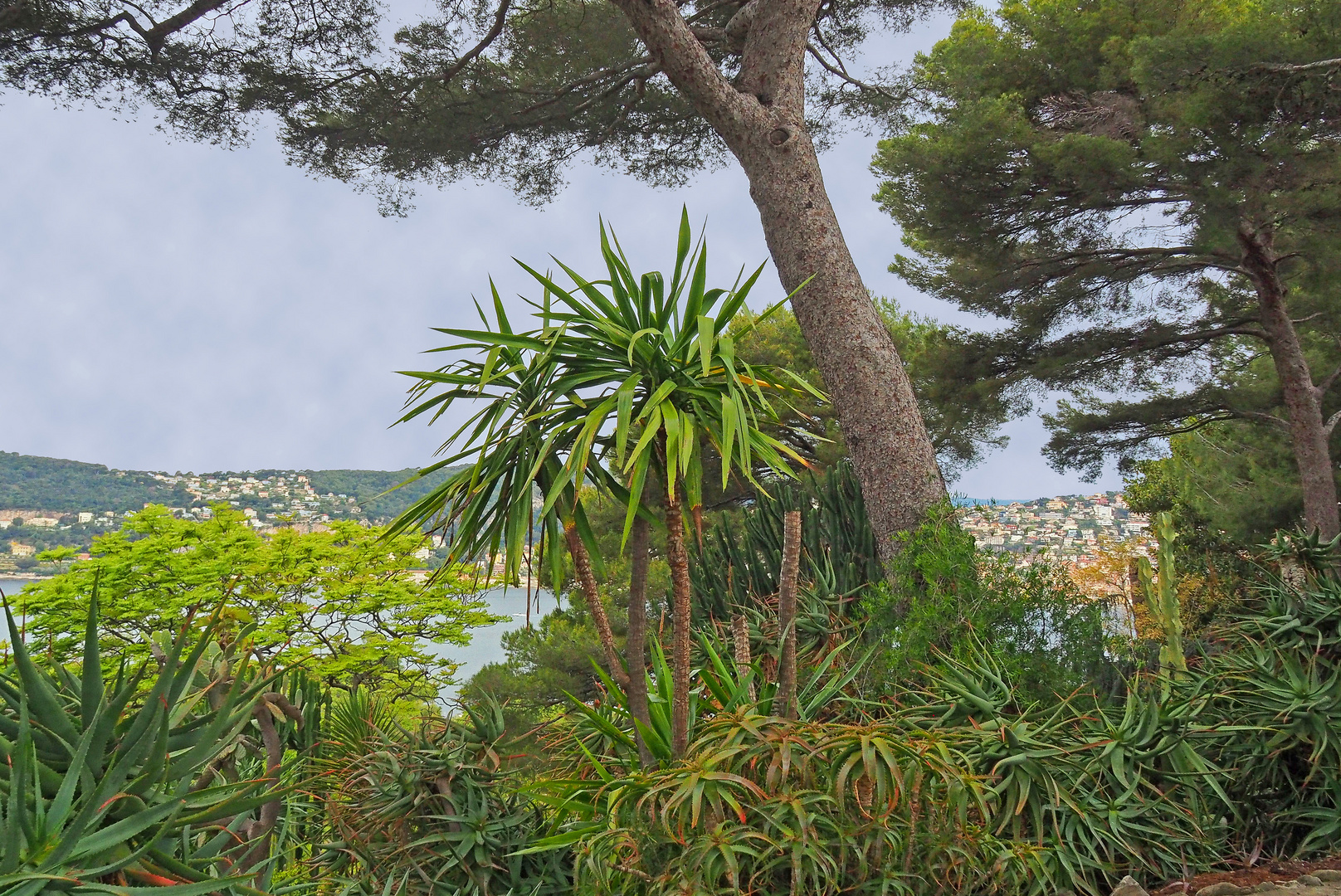 Villefranche-sur-Mer à partir des jardins de la Villa Ephrussi