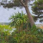 Villefranche-sur-Mer à partir des jardins de la Villa Ephrussi