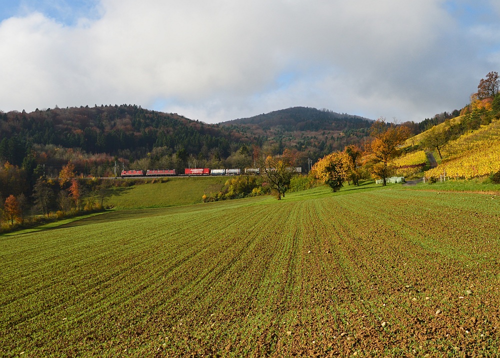 Villnachern Herbst III