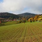 Villnachern Herbst III