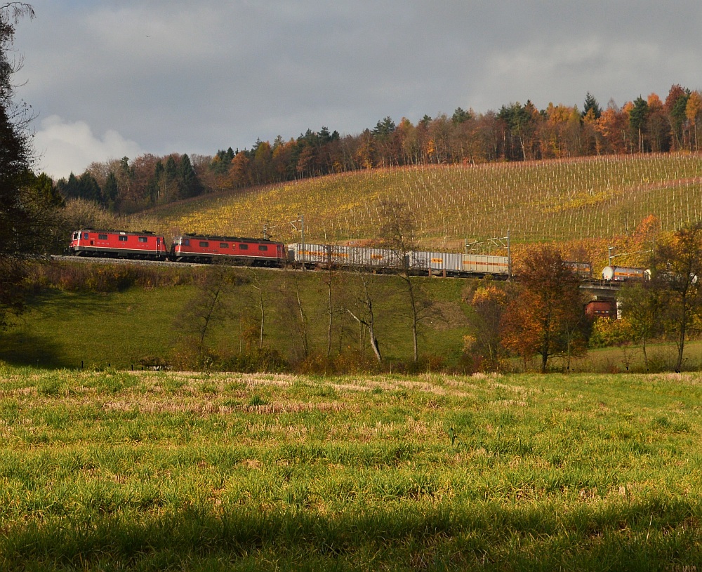 Villnachern Herbst V