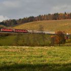 Villnachern Herbst V