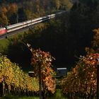 Villnachern Herbst VI