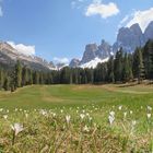 Villnößer Geisler von Zanzer Alm