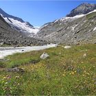 Villtragen Bach und Gletscher