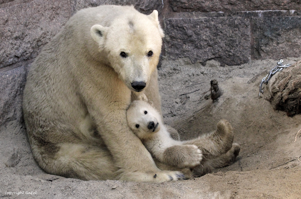 Vilma und Fiete