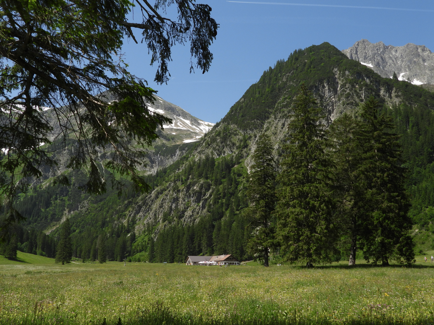 Vilsalpe am Vilsalpsee Österreich